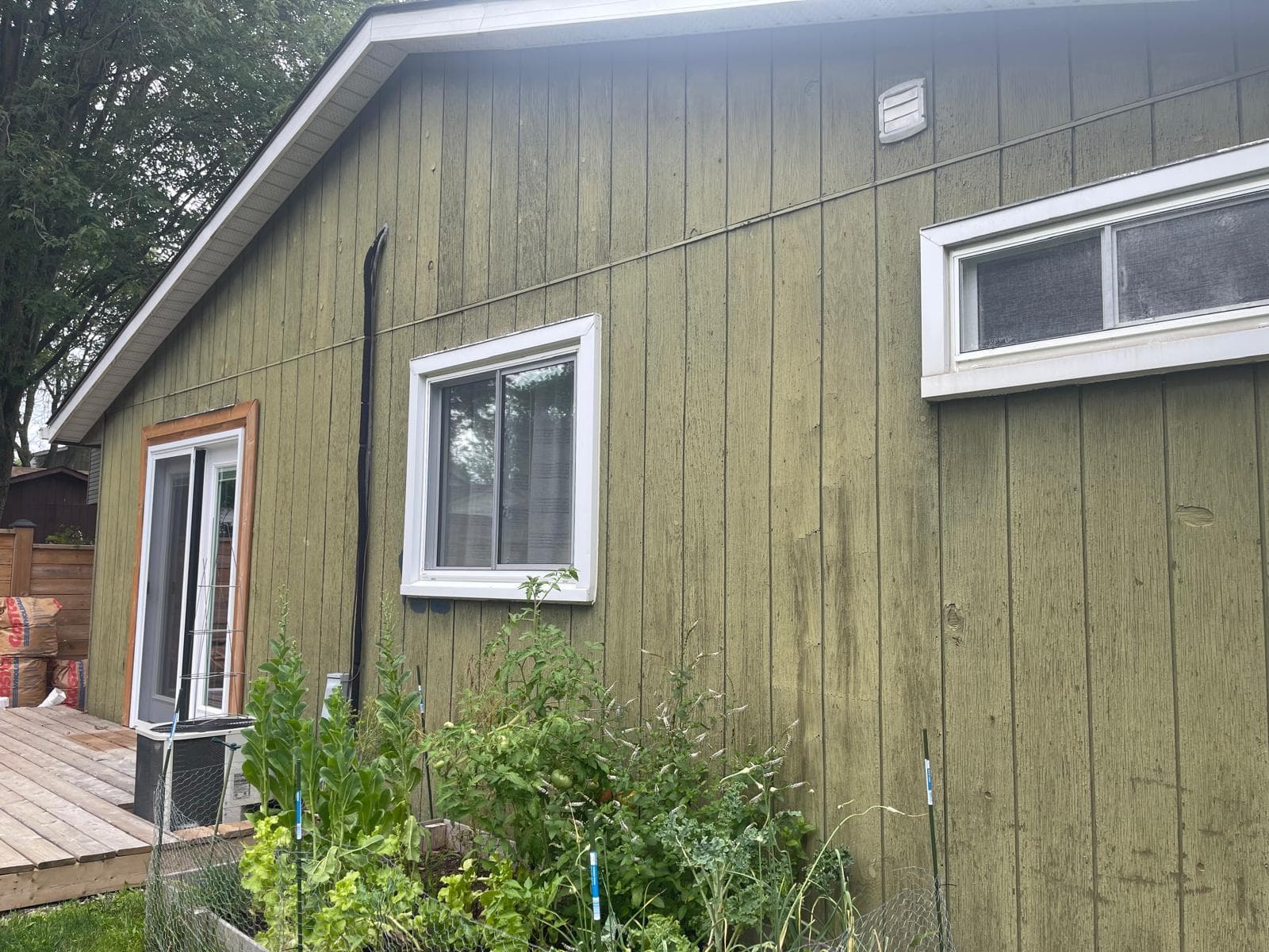 Before - Professional Painting